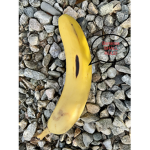 BANANAS SHALL RULE!
