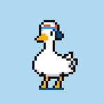 We like Ducks :3