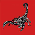 The Scorpian Community