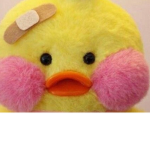 The_ducks_cutie
