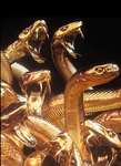 GOLDEN WISPERS