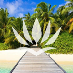 Air Caraibes