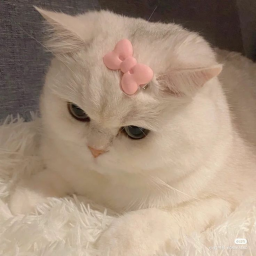 ୨୧