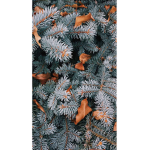 Sɪᴍᴘʟʏ ᴛʀᴏᴘɪᴄᴀʟ x