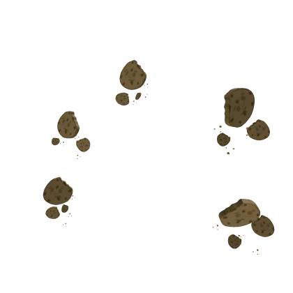 Big Cookie Aura Roblox item render