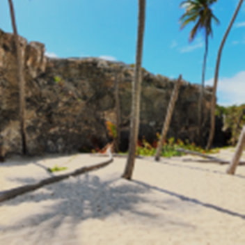 Beach Background For A Screenshot