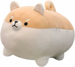 dailysuc