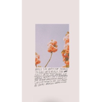 - .Sunshine’s.-