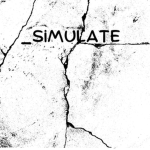 _simulate