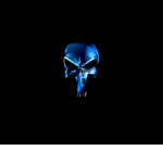 The Punisher Squad