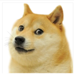 #doge XD