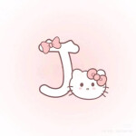 J ≽^• ˕ • ྀི≼