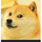 Official doges group