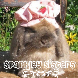 Sparkley sisters homestore
