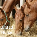 United Horse
