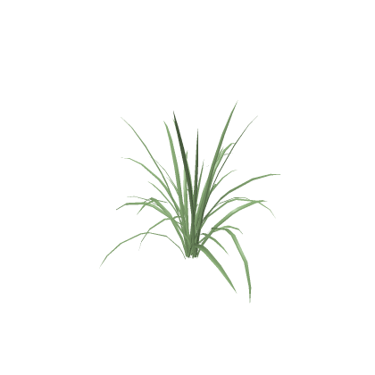 Grass (not by me)