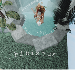 .hibiscus