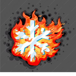 Fort Fire