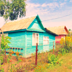 Дача барсика