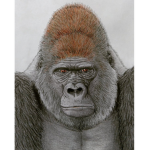 (:Monkey_Group:)