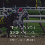 .SAVE THE RACE HORSES. ( S T R H )