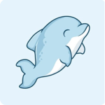 Dolphins Cheer Team