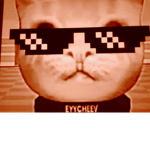 Stronk Cat NATION