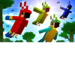 Bird_Nation