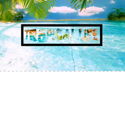 Tropical Life [NEW!]