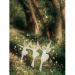 fairy’s !