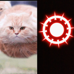 Kucing terbang and demon
