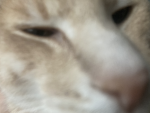 Cloudys__clouds