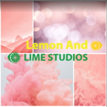 Lemon And Lime Studios