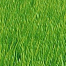 of