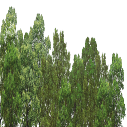 rees (Background use) Roblox decal