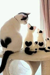 Matching you!!!