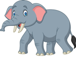 The Elephants !!