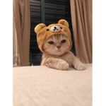 GARFIELINOS UWU
