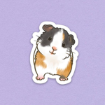 The Guinea Pig Gamers