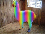 Rainbow llama squad!