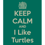Totally Turtle