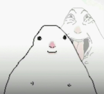 xsocool