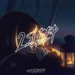2sleep