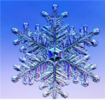 The Snowflakes