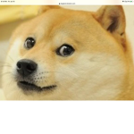 The doges are in the House