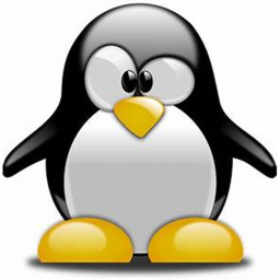 Penguin land.
