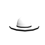 White and Black Stetson