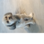 Lilbestiesss