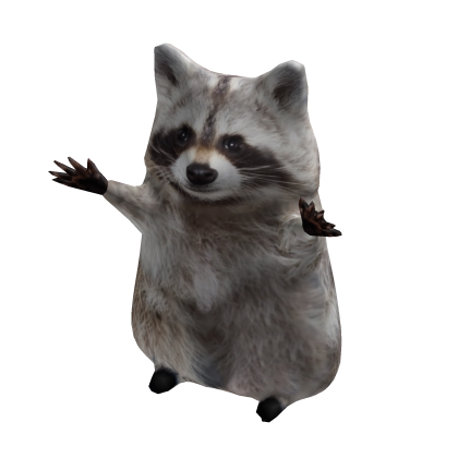 Dancing Raccoon Costume