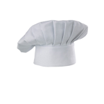 Council of The Chefs